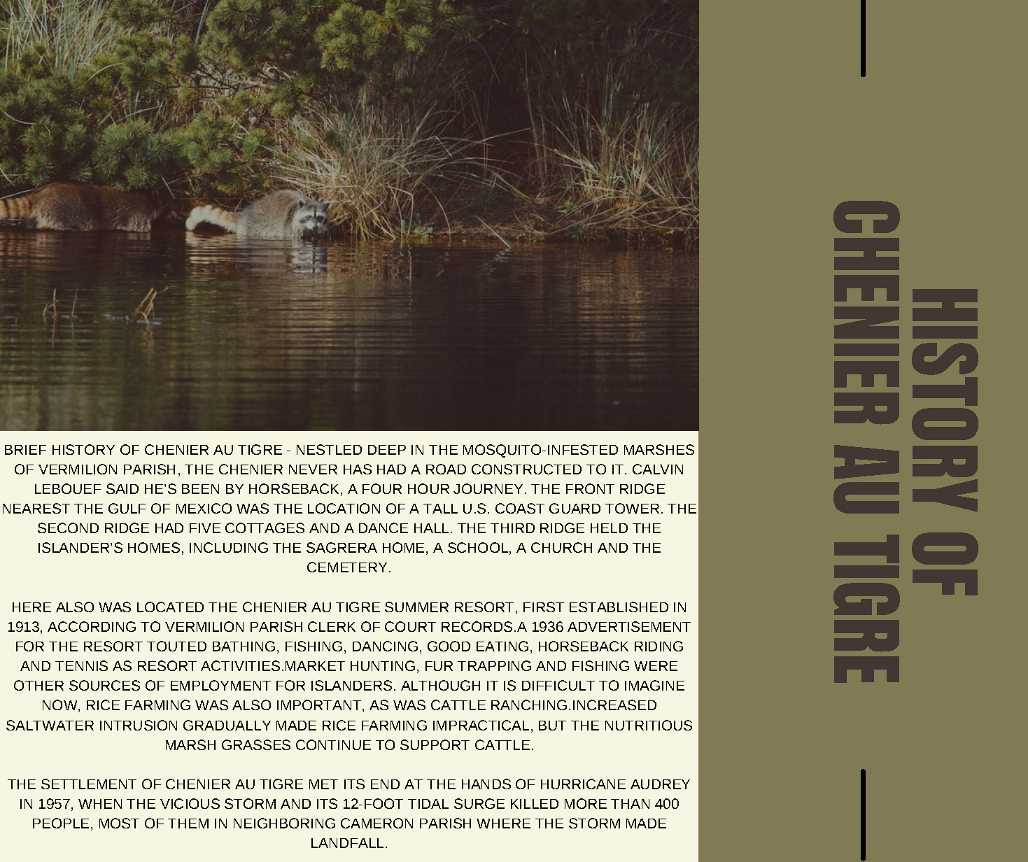 Chemier LOT 22 - A Day at Chenier au Tigre