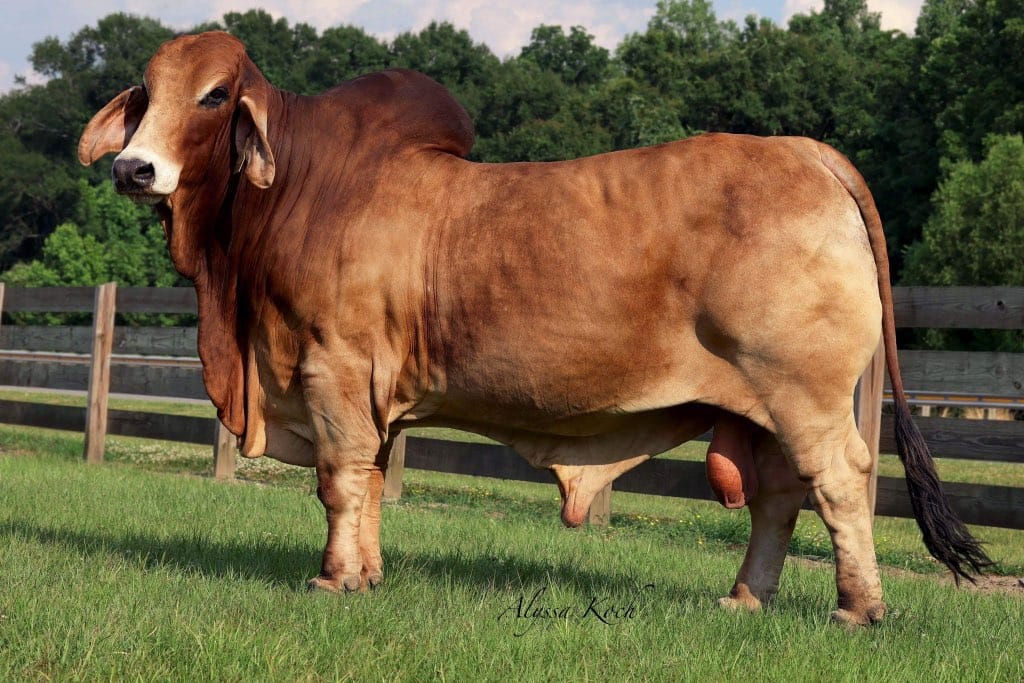 DF-MR-BUTTERBEAN-366-4.jpeg