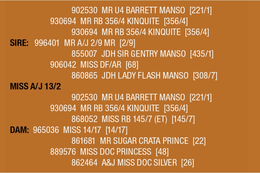 LOT 043 - MISS A/J 13/2