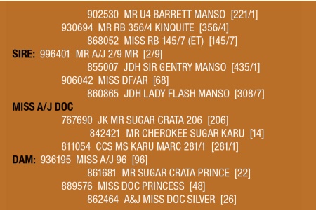 LOT 044 - MISS A/J DOC