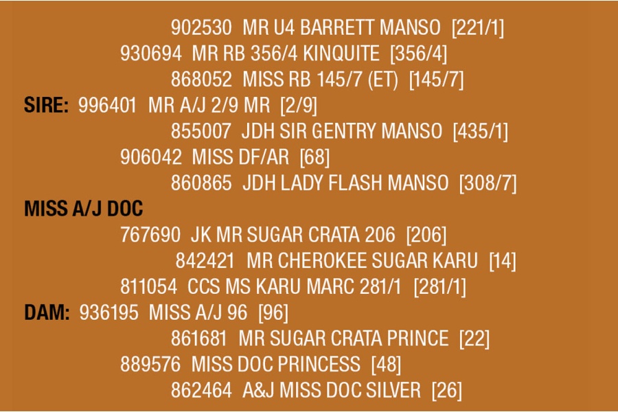 LOT 044 - MISS A/J DOC