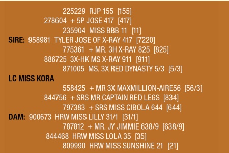 LOT 054 - LC MISS KORA