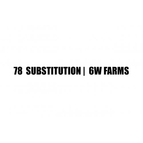 LOT 078 - SUBSTITUTION