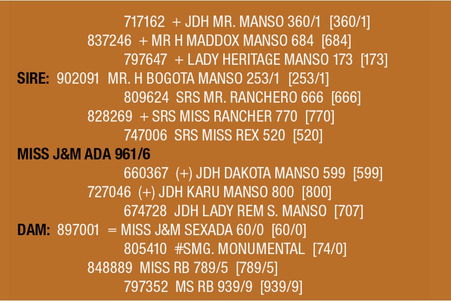 LOT 092 - MISS J&M ADA 961/6