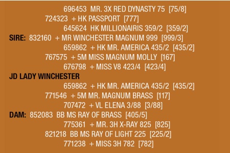 LOT 094 - JD LADY WINCHESTER