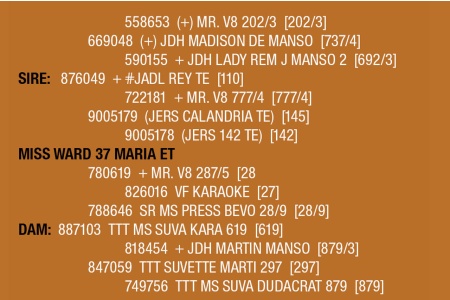 LOT 098 - MISS WARD 37 MARIA ET