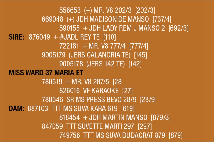 LOT 098 - MISS WARD 37 MARIA ET