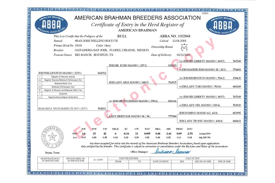 ROCO 333/8 SEMEN PACKAGE - GRAY BRAHMAN CONVENTIONAL SEMEN  WORLD-WIDE INCLUDING USA