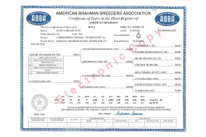 DADR ACHILLES 5/0 - CONVENTIONAL SEMEN PACKAGE - USA ONLY
