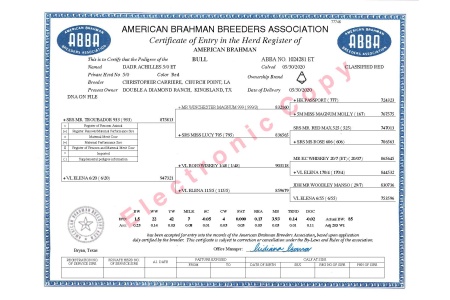 DADR ACHILLES 5/0 - CONVENTIONAL SEMEN PACKAGE - USA ONLY