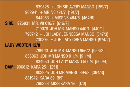 LOT 105 - LADY WOOTEN 12/8