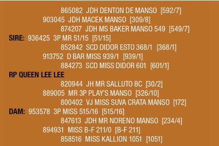 LOT 106 - RP QUEEN LEE LEE