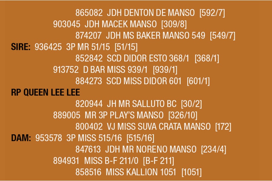 LOT 106 - RP QUEEN LEE LEE