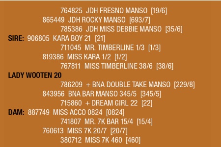 LOT 107 - LADY WOOTEN 20