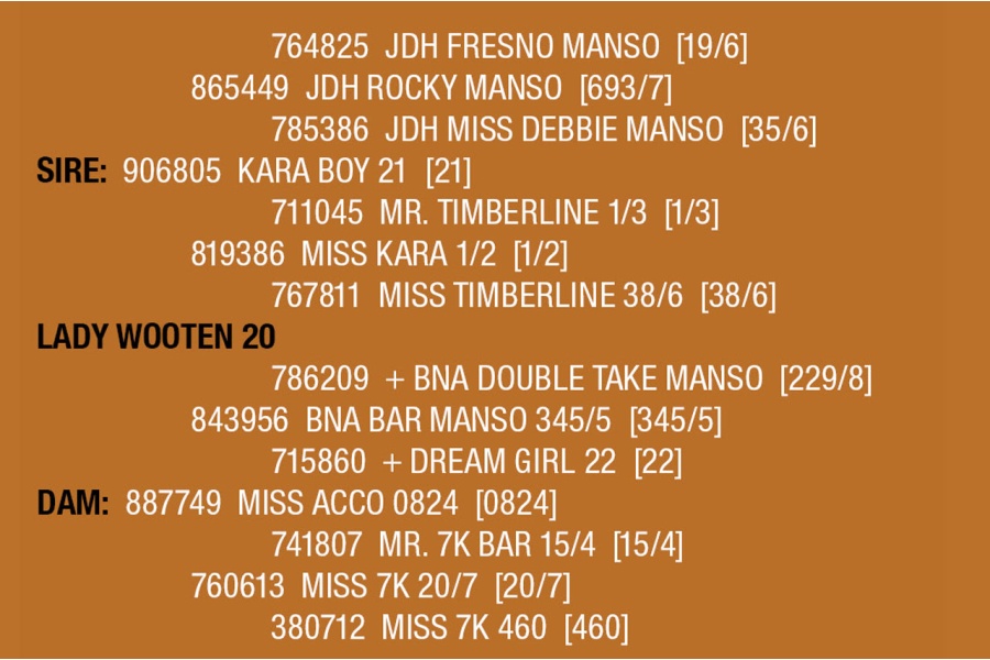 LOT 107 - LADY WOOTEN 20