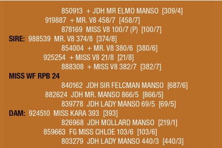 LOT 110 - MISS WF RPB 14