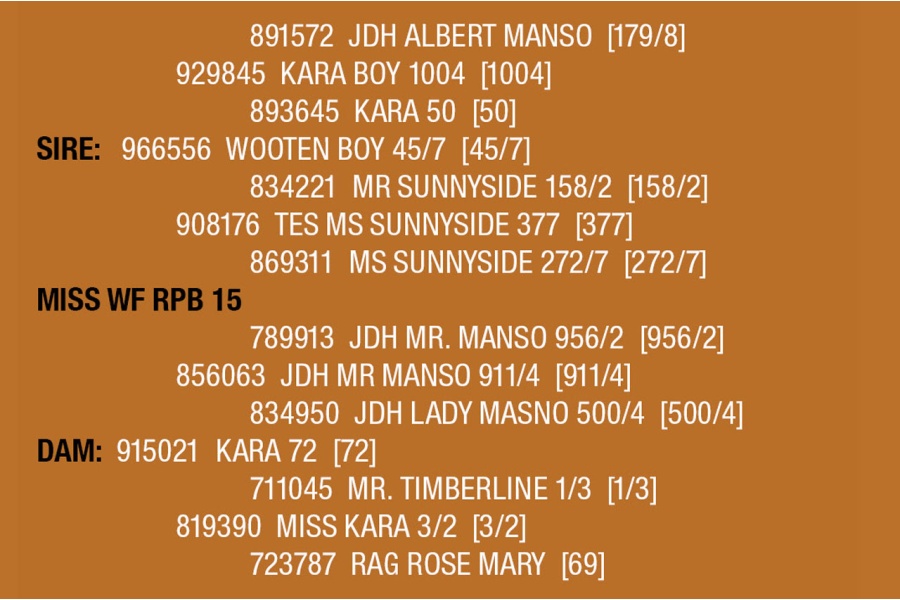 LOT 112 - MISS WF RPB 15