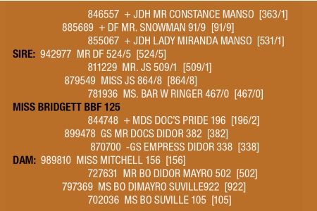 LOT 113 - MISS BRIDGETT BBF 125