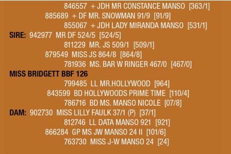 LOT 114 - MISS BRIDGETT BBF 126