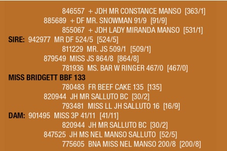 LOT 117 - MISS BRIDGETT BBF 133