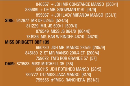 LOT 118 - MISS BRIDGETT BBF 139