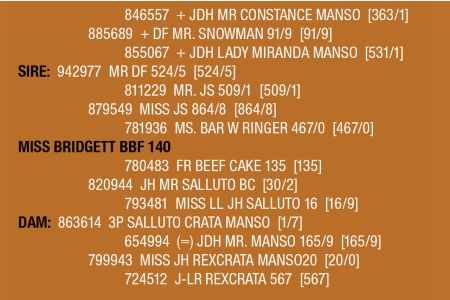 LOT 119 - MISS BRIDGETT BBF 140