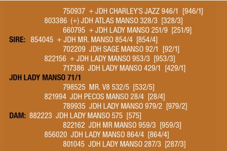 LOT 122 - JDH LADY MANSO 71/1