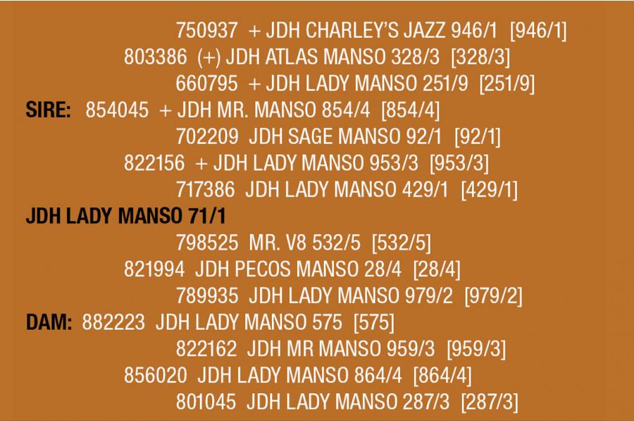 LOT 122 - JDH LADY MANSO 71/1