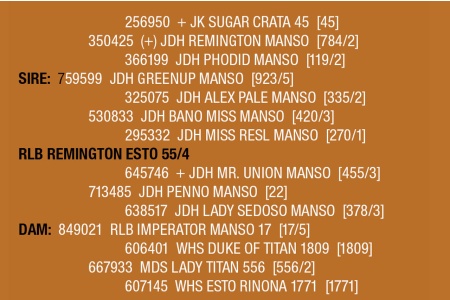 LOT 123 - RLB REMINGTON ESTO 55/4