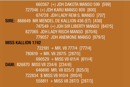 LOT 130 - MISS KALLION 1742