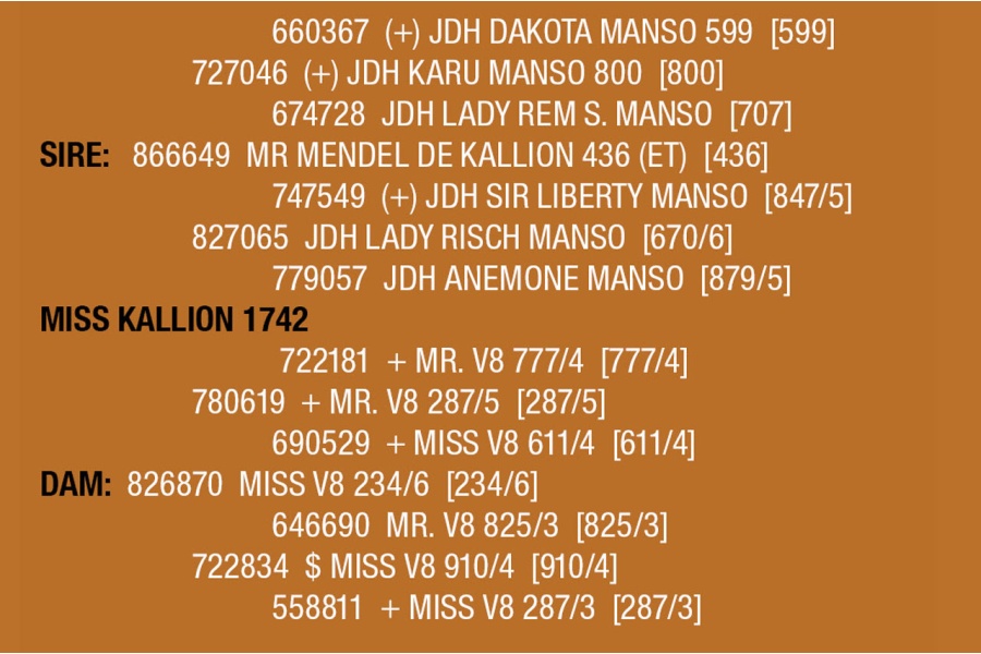 LOT 130 - MISS KALLION 1742