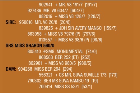LOT 131 - SRS MISS SHARON 560/0