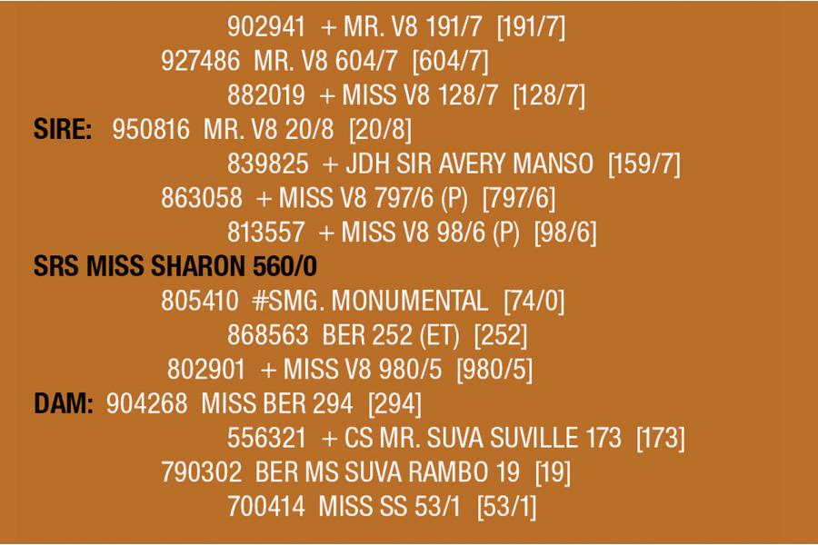 LOT 131 - SRS MISS SHARON 560/0