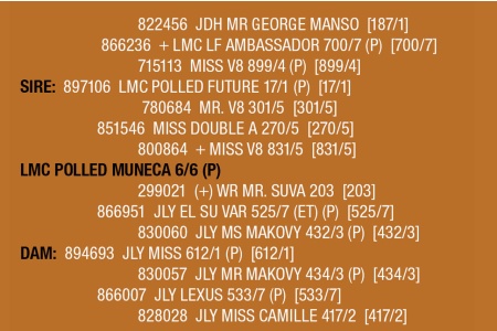 LOT 136 - LMC POLLED MUNECA 6/6 (P)