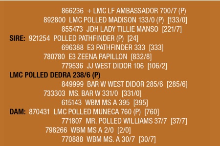 LOT 137 - LMC POLLED DEDRA 238/6 (P)