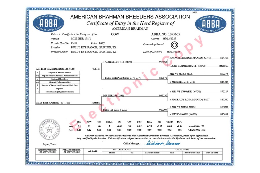 LOT 05 - MISS BER 158/1