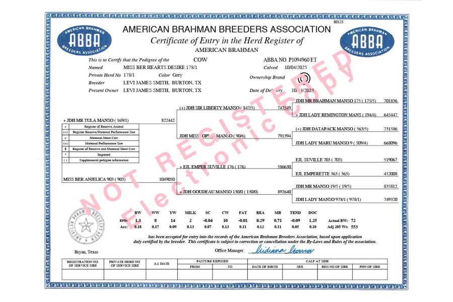 LOT 02 - MISS BER HEARTS DESIRE 178/1