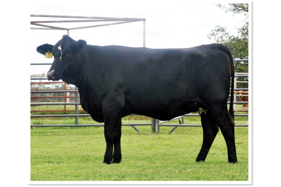 LOT 26 - MS STRACK G121