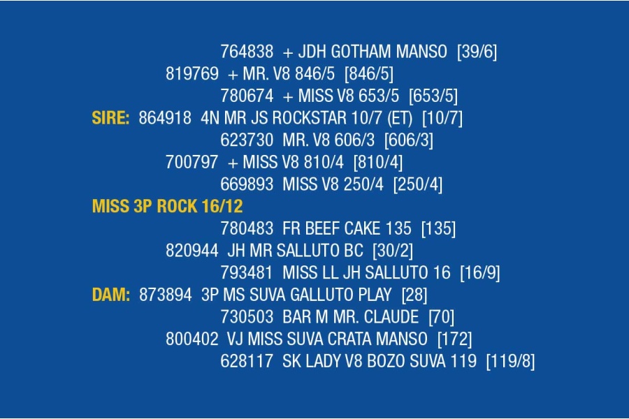 LOT 033- MISS 3P ROCK 16/12