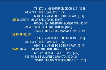 LOT 034- MISS 3P 83/11 / LOT 035- MS. JK 20/3 (PICK 1)
