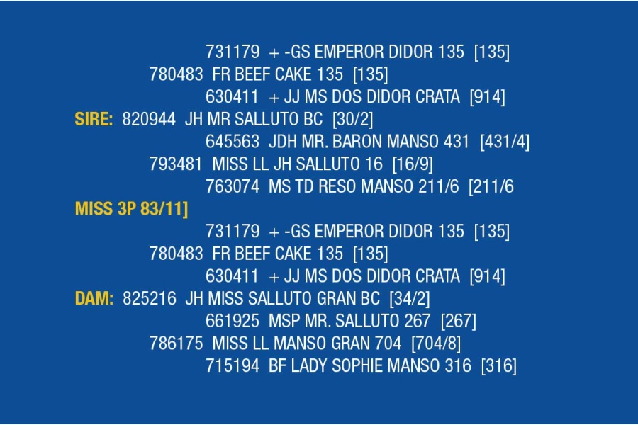 LOT 034- MISS 3P 83/11 / LOT 035- MS. JK 20/3 (PICK 1)