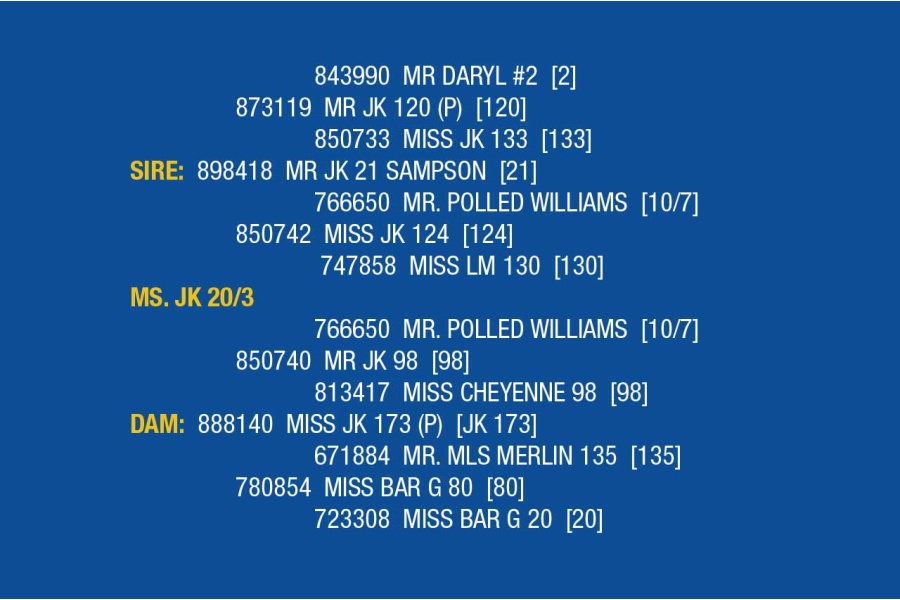 LOT 034- MISS 3P 83/11 / LOT 035- MS. JK 20/3 (PICK 2)