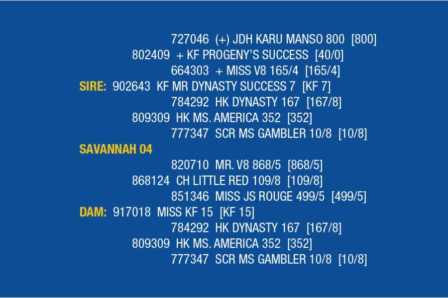 LOT 039- SAVANNAH 04