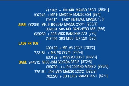LOT 056- LADY FR 82 / LOT 062 - LADY FR 109 (PICK 2)