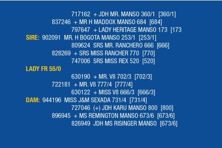 LOT 063 - LADY FR 55/0 / LOT 065 - LADY FR 47/0 /  LOT 066 - LADY FR 43/0 (PICK 1)