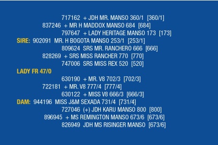 LOT 063 - LADY FR 55/0 / LOT 065 - LADY FR 47/0 /  LOT 066 - LADY FR 43/0 (PICK 2)