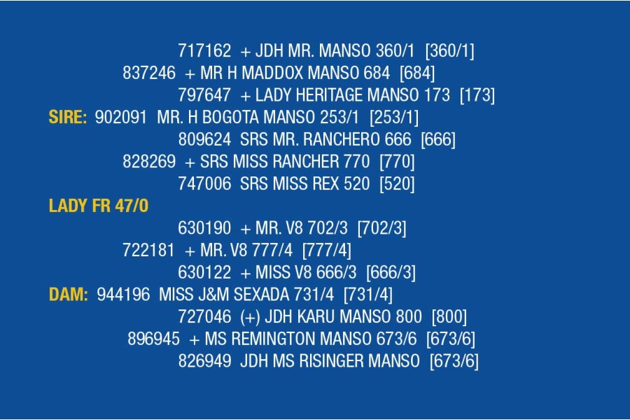 LOT 063 - LADY FR 55/0 / LOT 065 - LADY FR 47/0 /  LOT 066 - LADY FR 43/0 (PICK 2)