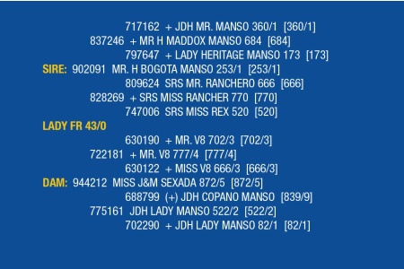 LOT 063 - LADY FR 55/0 / LOT 065 - LADY FR 47/0 /  LOT 066 - LADY FR 43/0 (PICK 3)
