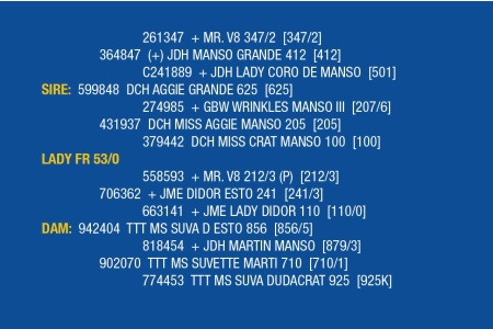 LOT 067 - LADY FR 53/0 / LOT 068 - LADY FR 48/0 (PICK 1)