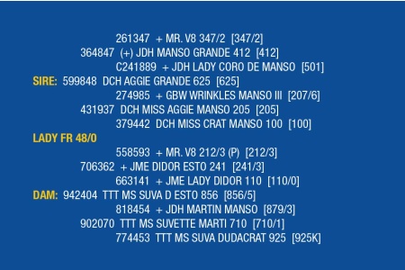 LOT 067 - LADY FR 53/0 / LOT 068 - LADY FR 48/0 (PICK 2)